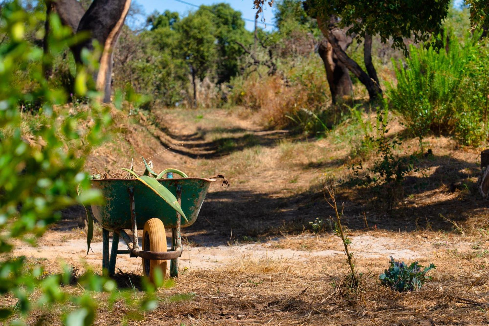 Choeiro Verde - Casa De Campo Na Costa Vicentina Brejao Bagian luar foto