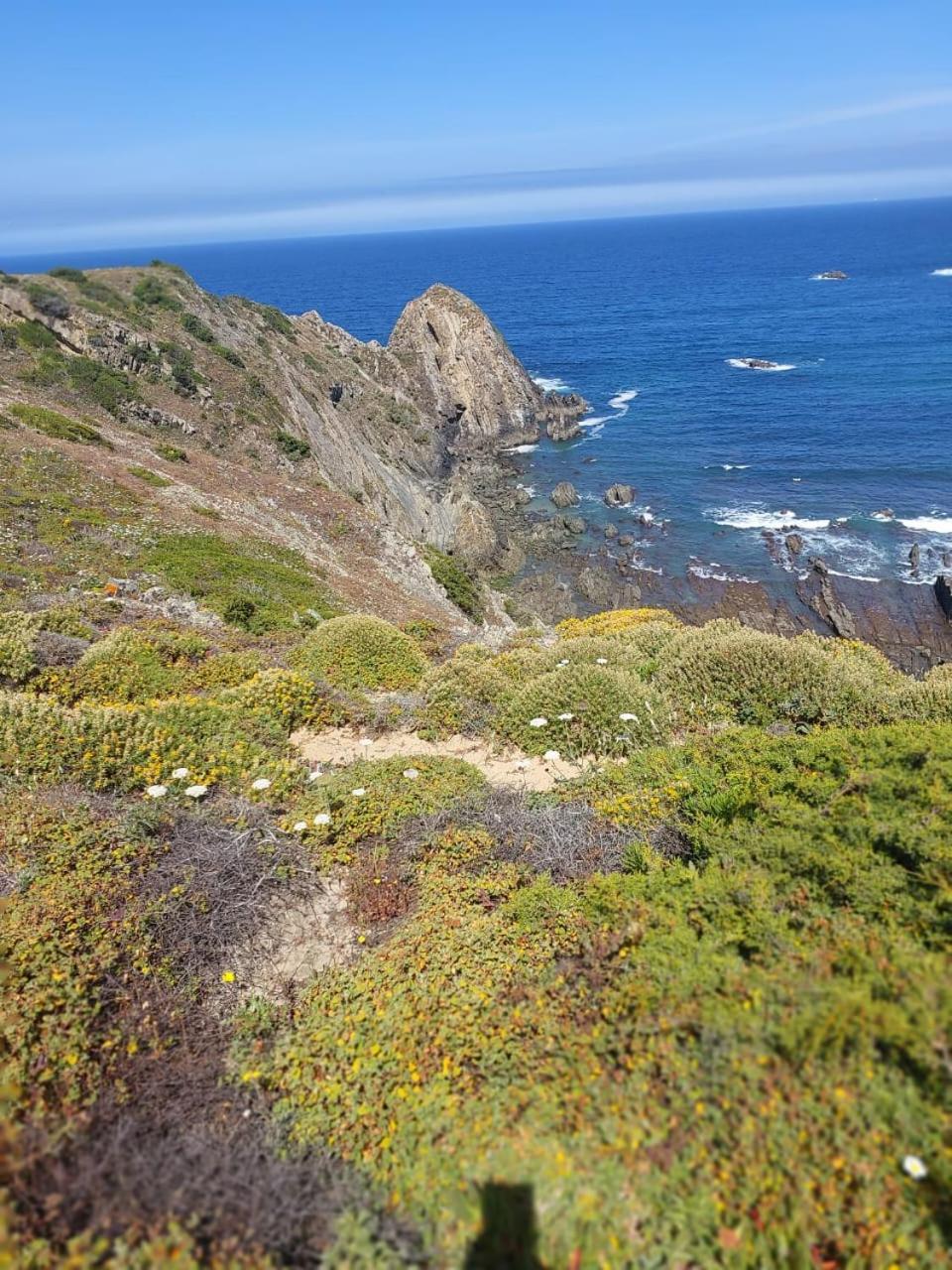 Choeiro Verde - Casa De Campo Na Costa Vicentina Brejao Bagian luar foto